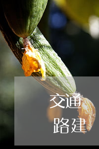 交通運(yùn)輸部：農(nóng)村公路建設(shè)，不得拖欠農(nóng)民工資、拆遷款！